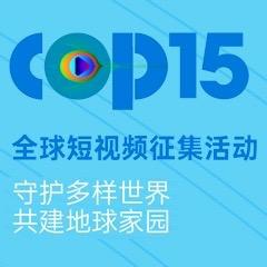 cop15全球短视频征集活动