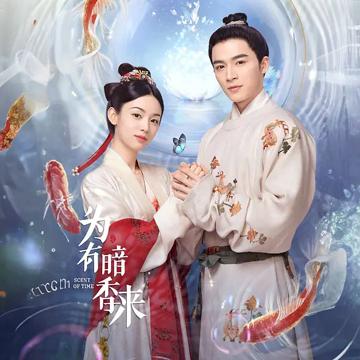 为有暗香来