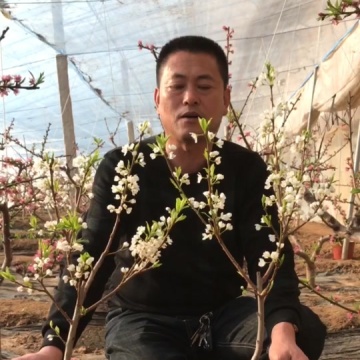 服务三农支持三农