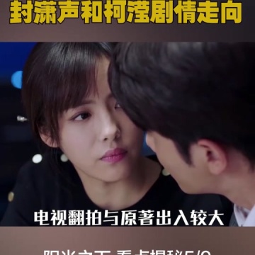 阳光之下结局