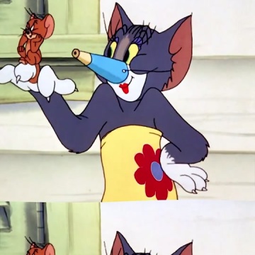 猫和老鼠之不要草率了