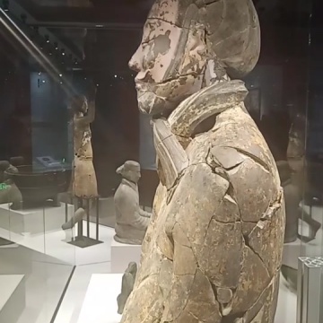 兵马俑探秘