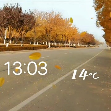 又是一年立冬时