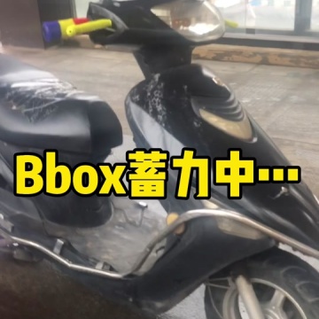 万物都可bbox