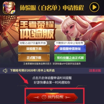王者荣耀体验服