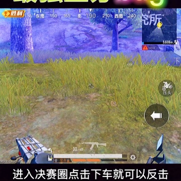 和平精英bug