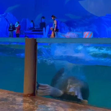 大连圣亚海洋世界