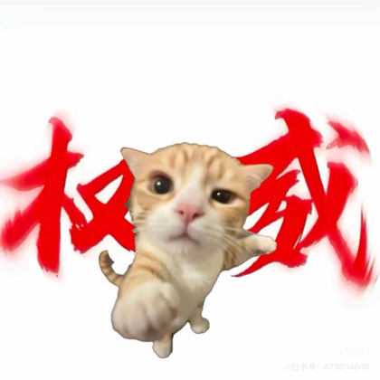 张张的粉丝1️⃣群 群聊头像