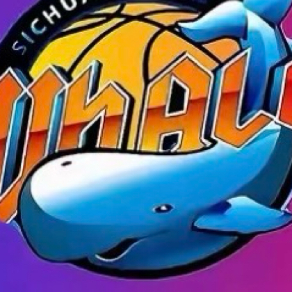 NBA CBA耐高康初李小贡嘎杯比赛🏀 群聊头像
