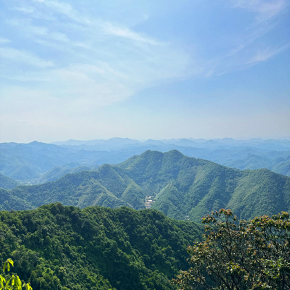 西湖爱心线👣免费结伴群 群聊头像