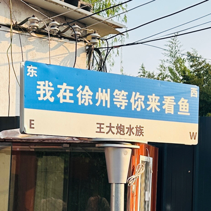 吉罗新手交流群 群聊头像