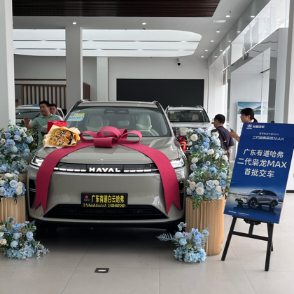 二代枭龙Max🚗全国车主群 群聊头像