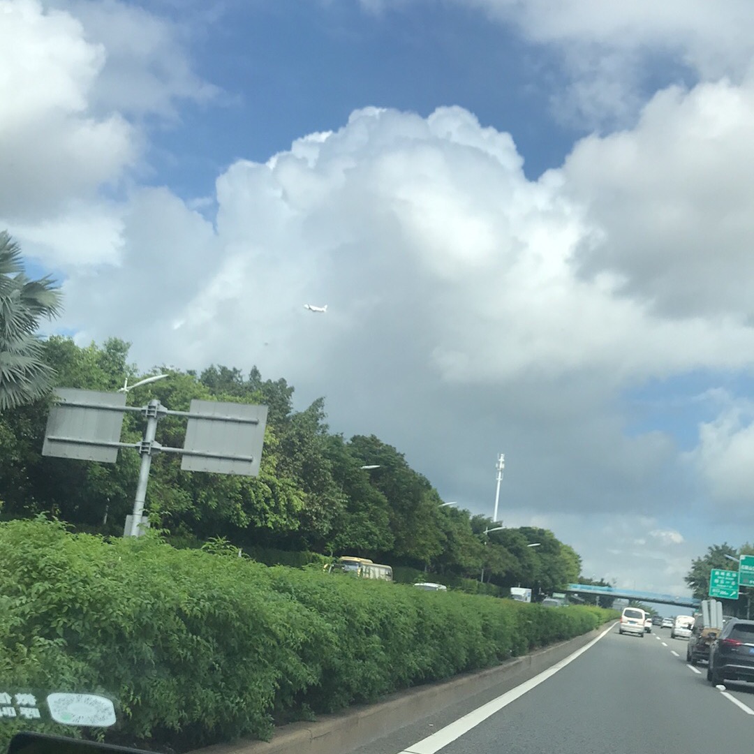 甲亢经验分享群 群聊头像