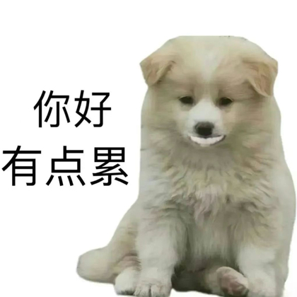 交流群 群聊头像