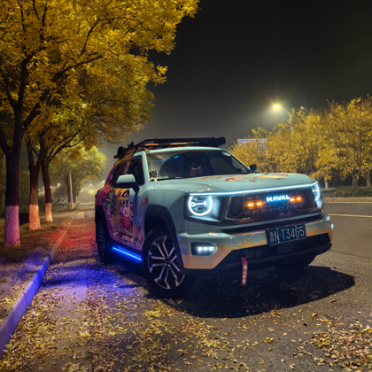 全国大狗plus🚗（交流群 ） 群聊头像