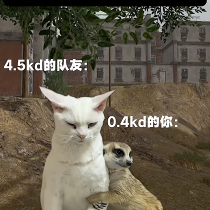 和平精英 群聊头像