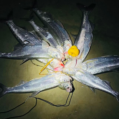 肥西路亚钓鱼群🎣 群聊头像