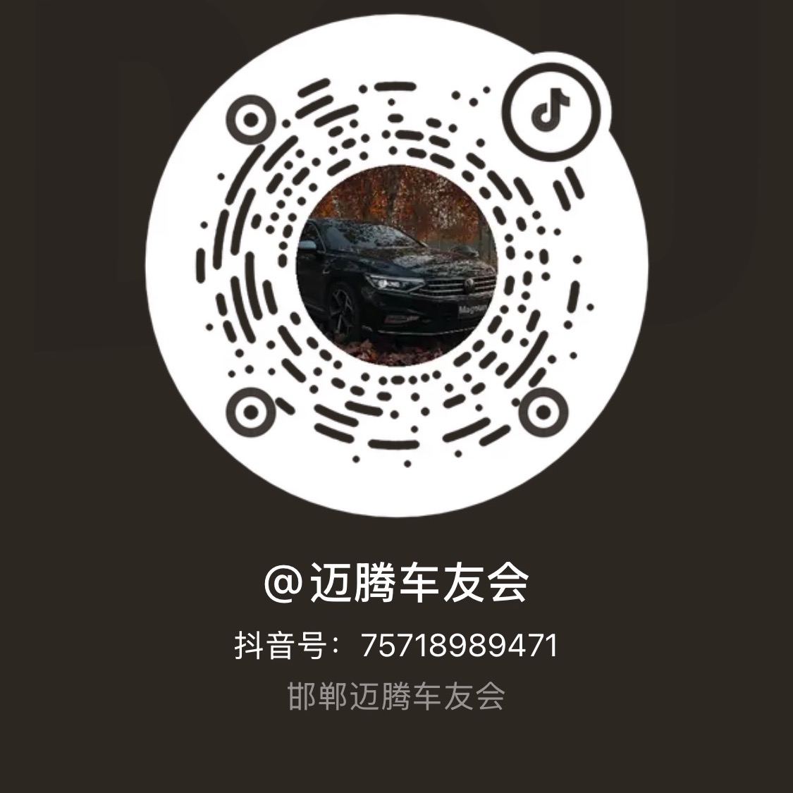邯郸迈腾车友会（1️⃣） 群聊头像