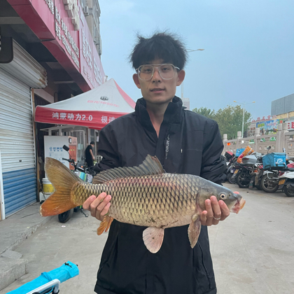 沐辰野钓一大队 群聊头像