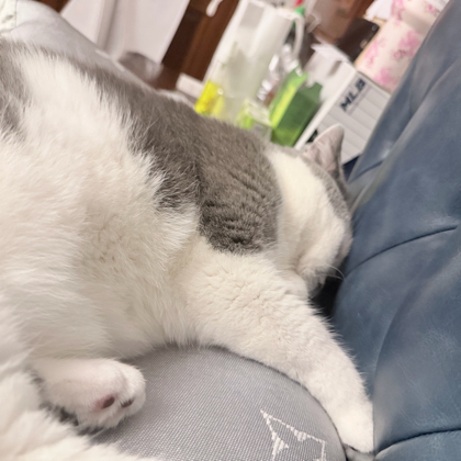 恶搞之家 群聊头像