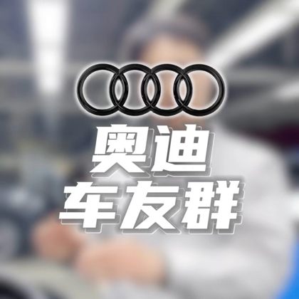 奥迪车友群 群聊头像