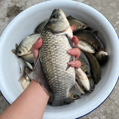钓鱼🎣攻略群 群聊头像