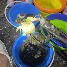 赶海、攻略，1群 群聊头像