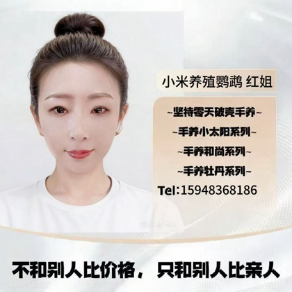 鹦鹉交流群 群聊头像