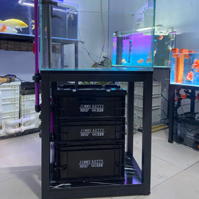 老杨养鱼 🐟 交流群 群聊头像