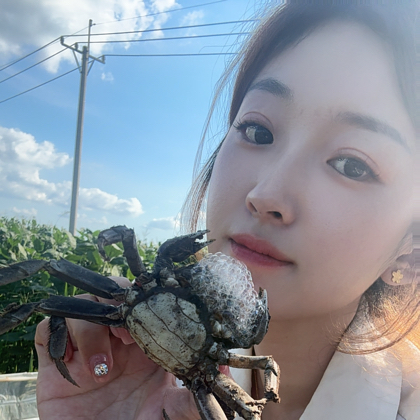 爽爽家的稻田蟹 群聊头像