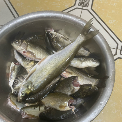 圈河钓友群 群聊头像