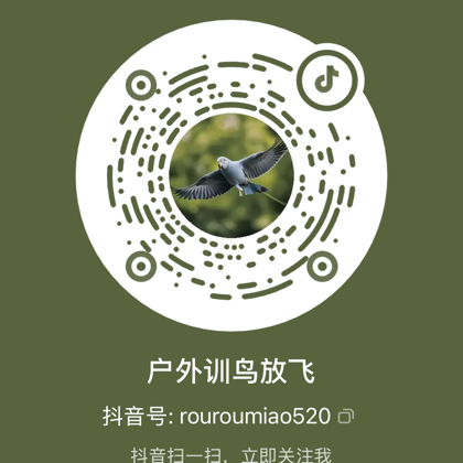 手养玄凤交流群 群聊头像