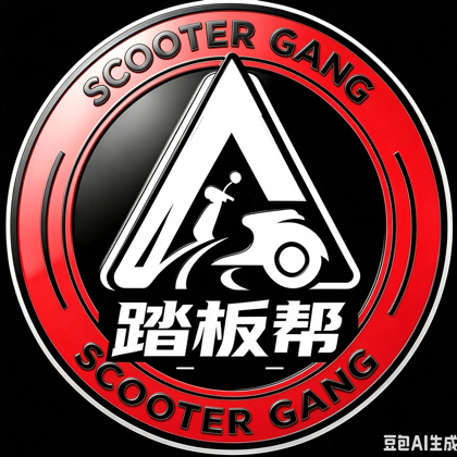 踏板帮全国车友群 群聊头像