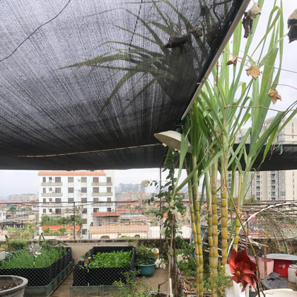 种植交流群 群聊头像