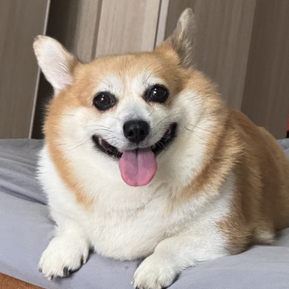 小虾米交流群 群聊头像