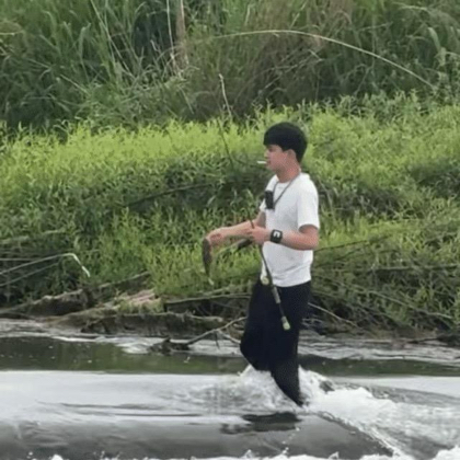 小爱路亚 群聊头像
