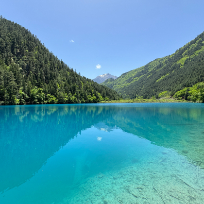 旅游交友 群聊头像