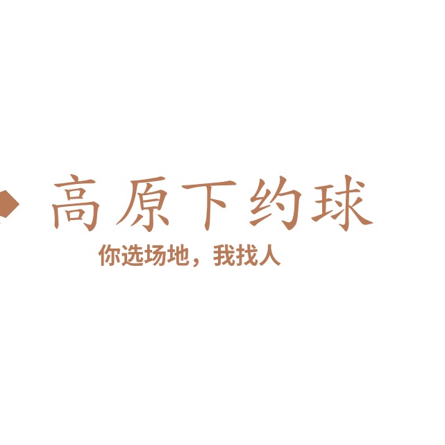 《高原下约球 群聊头像