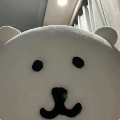 小黄鸭后援会 群聊头像