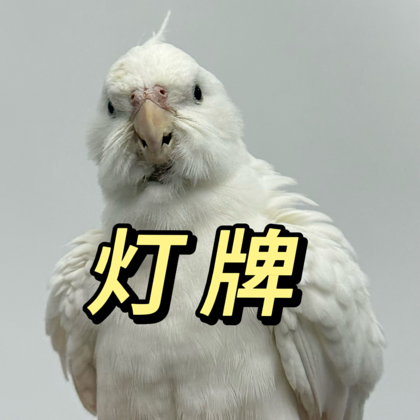 小薯芋家的灯牌群🫶🏻 群聊头像