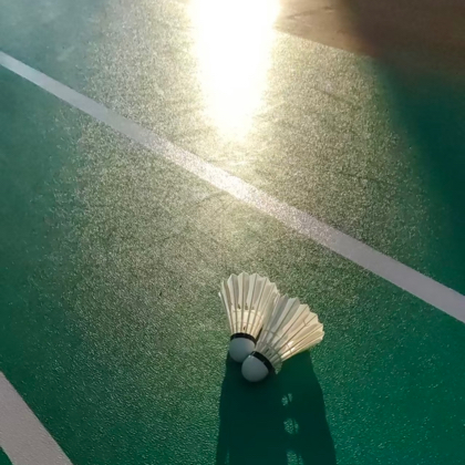 同城羽毛球群 群聊头像
