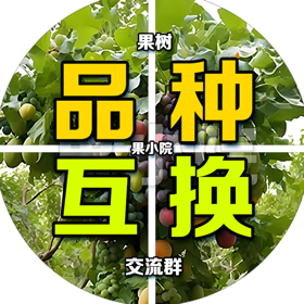 果小院果树品种互换群 群聊头像