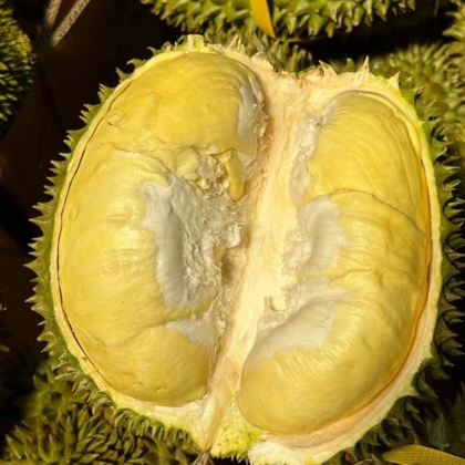 榴莲小窝（线下同城） 群聊头像
