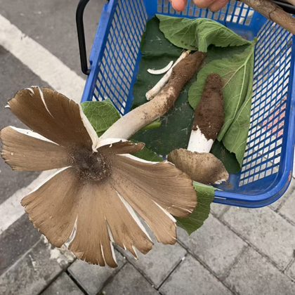 ❤️打野，户外打野❤️ 群聊头像