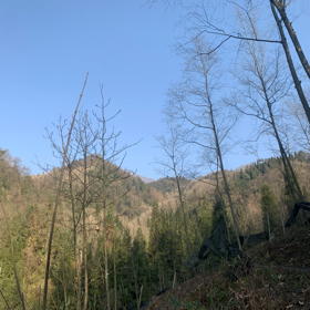 ShowYeah秀野越野跑训练营彭州基地 群聊头像