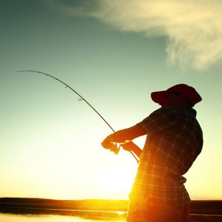 安远钓鱼群🎣 群聊头像