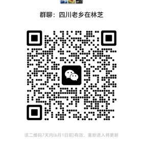 四川老乡在林芝 群聊头像