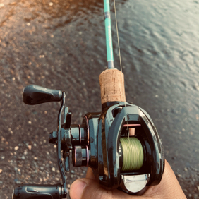 🎣微物路亚探讨群1 群聊头像