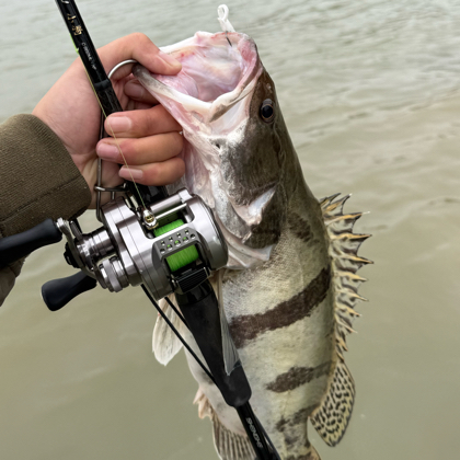路亚野钓大师🎣 群聊头像