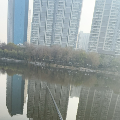 滕州野钓🎣 群聊头像